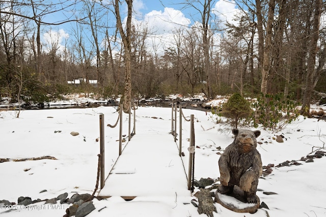 2222 Hillcrest Dr, Pocono Pines, PA 18350 - view of yard covered in snow