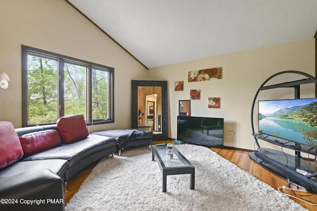 living area with lofted ceiling and wood finished floors