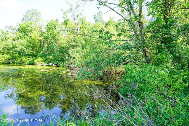 3087 W Beersville Rd, Bath, PA 18014 - photo 7
