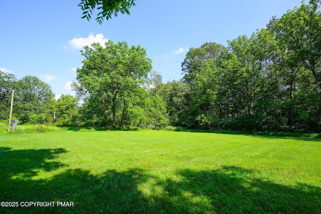 3087 W Beersville Rd, Bath, PA 18014 - photo 28