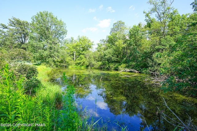 3087 W Beersville Rd, Bath, PA 18014 - photo 6