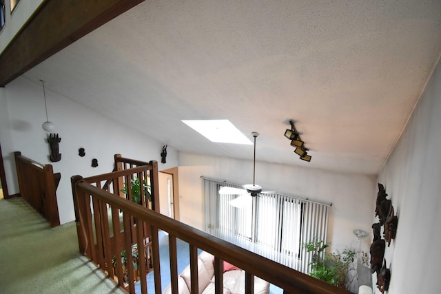 158 Saunders Dr, Bushkill, PA 18324 - hall featuring an upstairs landing, a textured ceiling, carpet floors, a skylight, and rail lighting
