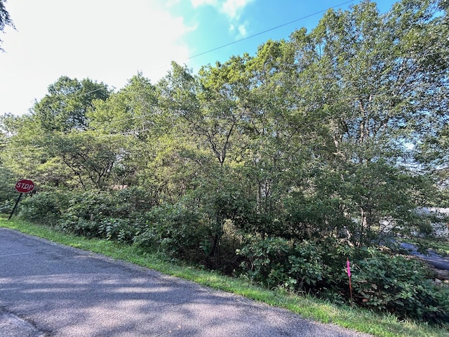 LOTF534 Pinoak Dr, Jim Thorpe, PA 18229