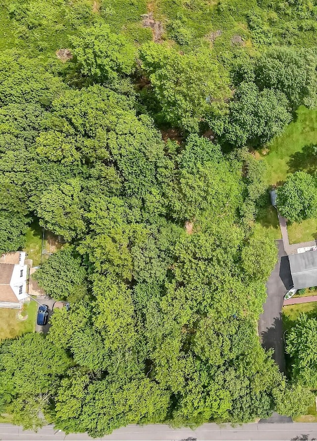 LOTF534 Pinoak Dr, Jim Thorpe, PA 18229