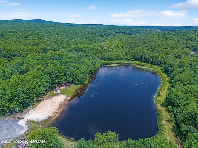 191 Winding Way, Albrightsville, PA 18210 - photo 47