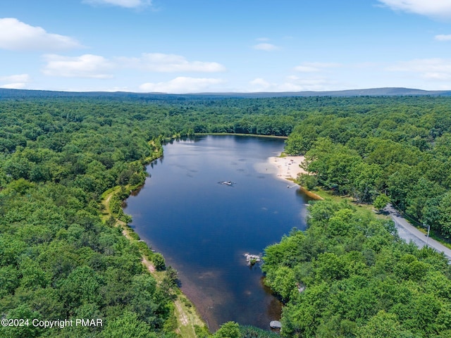 191 Winding Way, Albrightsville, PA 18210 - photo 48