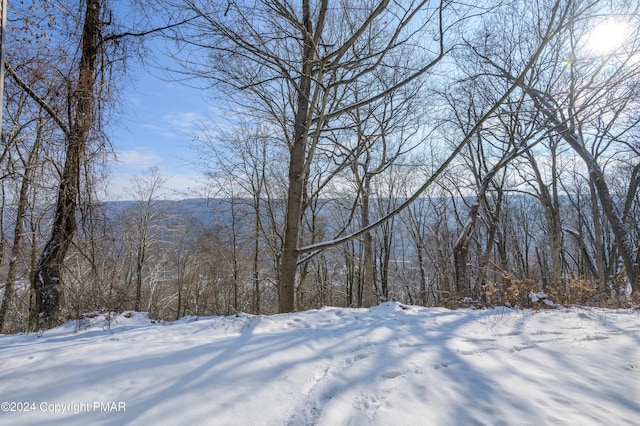 property view of mountains with a wooded view