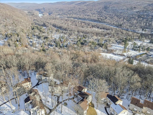 birds eye view of property featuring a mountain view