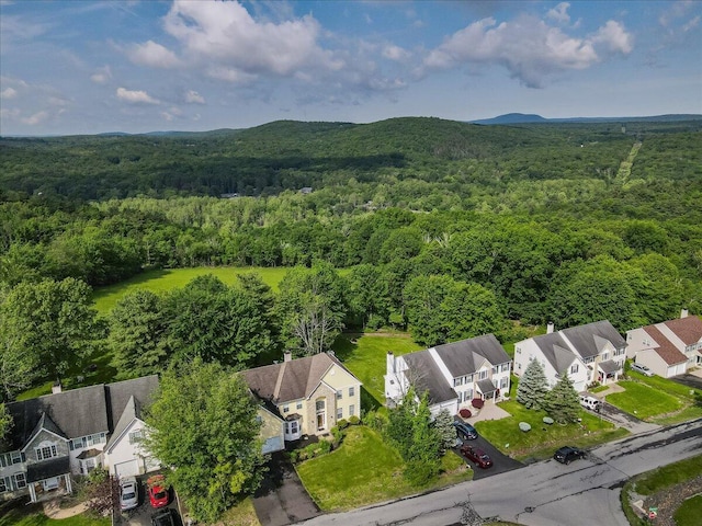 2358 Snapdragon Pt, East Stroudsburg, PA 18301 - aerial perspective of suburban area featuring a forest