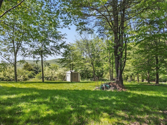 2358 Snapdragon Pt, East Stroudsburg, PA 18301 - view of grassy yard with a storage shed