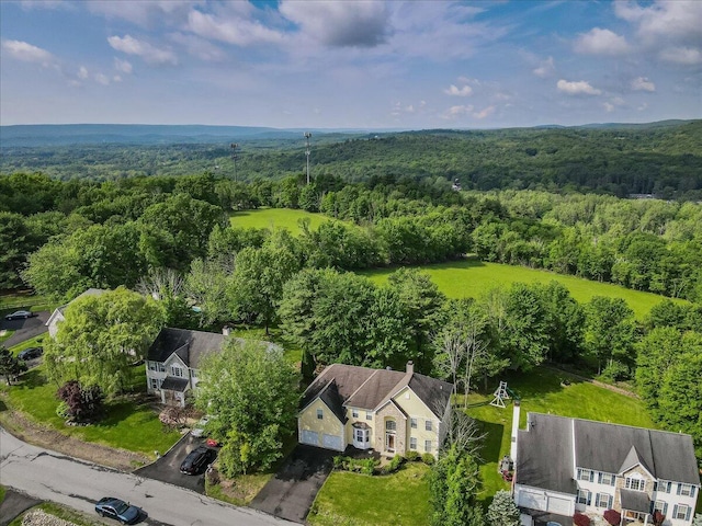 2358 Snapdragon Pt, East Stroudsburg, PA 18301 - bird's eye view of a heavily wooded area