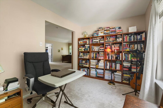 2358 Snapdragon Pt, East Stroudsburg, PA 18301 - office with carpet flooring