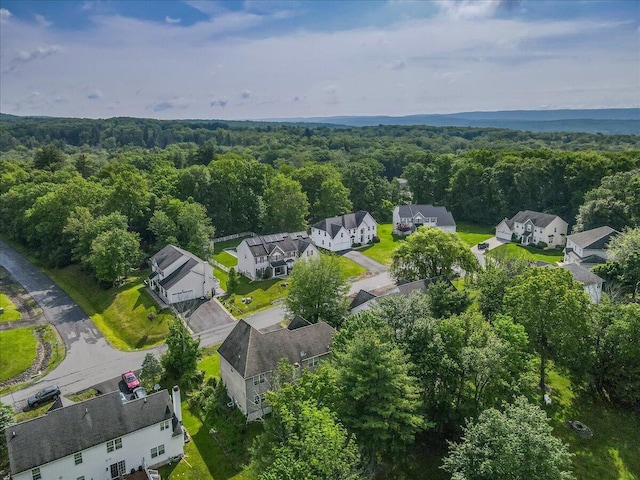 2358 Snapdragon Pt, East Stroudsburg, PA 18301 - aerial view of residential area with a heavily wooded area