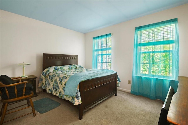 2358 Snapdragon Pt, East Stroudsburg, PA 18301 - bedroom with carpet floors