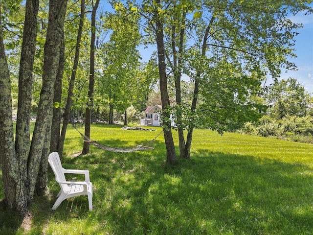 2358 Snapdragon Pt, East Stroudsburg, PA 18301 - view of green lawn