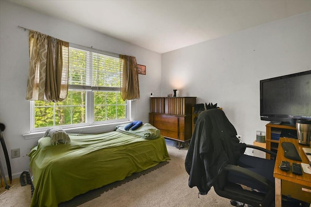 2358 Snapdragon Pt, East Stroudsburg, PA 18301 - carpeted bedroom featuring multiple windows
