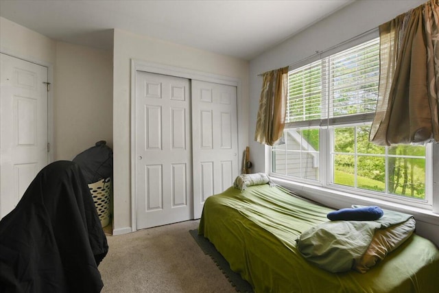 2358 Snapdragon Pt, East Stroudsburg, PA 18301 - bedroom featuring carpet floors and a closet