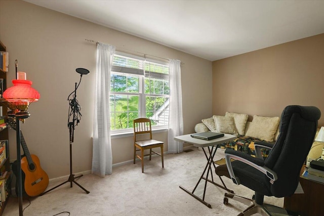2358 Snapdragon Pt, East Stroudsburg, PA 18301 - home office with baseboards and light carpet