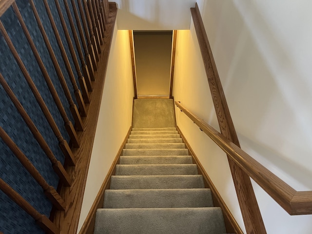 stairs featuring carpet flooring