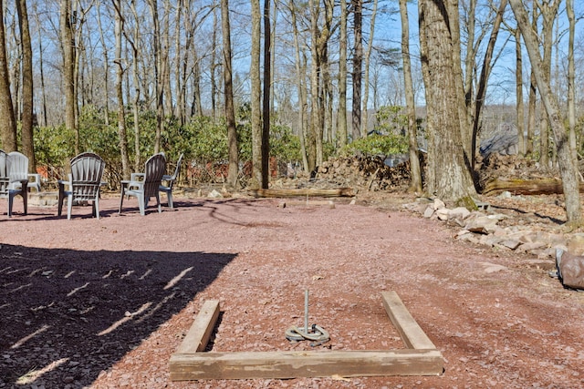 7 Park Ln, Lake Harmony, PA 18624 - view of yard