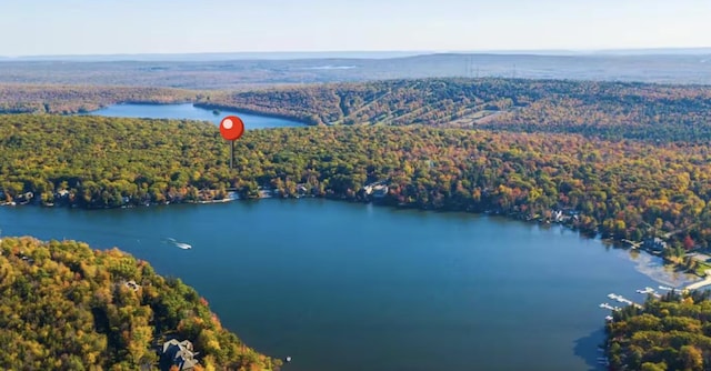7 Park Ln, Lake Harmony, PA 18624 - aerial view of a large body of water and a forest