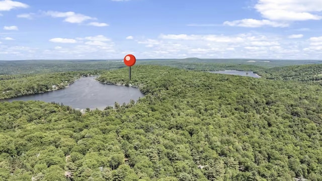 7 Park Ln, Lake Harmony, PA 18624 - bird's eye view of a heavily wooded area and a large body of water