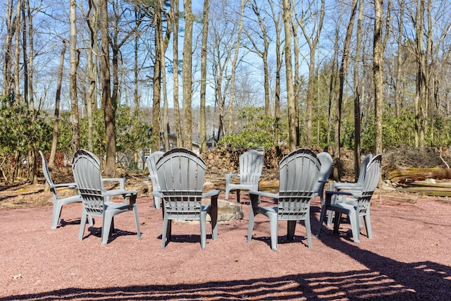 7 Park Ln, Lake Harmony, PA 18624 - view of yard