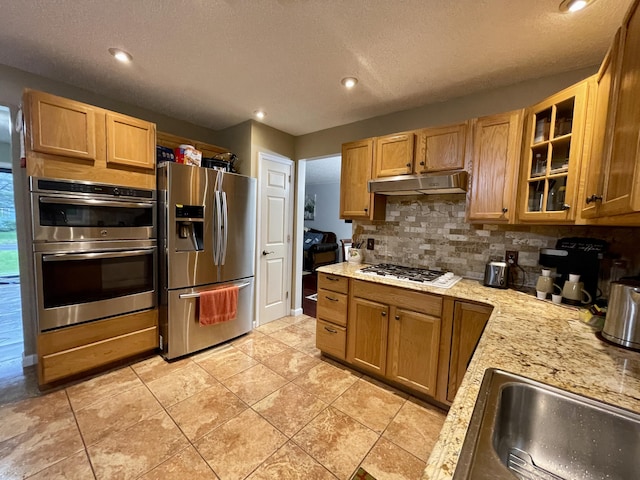 kitchen with tasteful backsplash, glass insert cabinets, stainless steel appliances, under cabinet range hood, and a sink