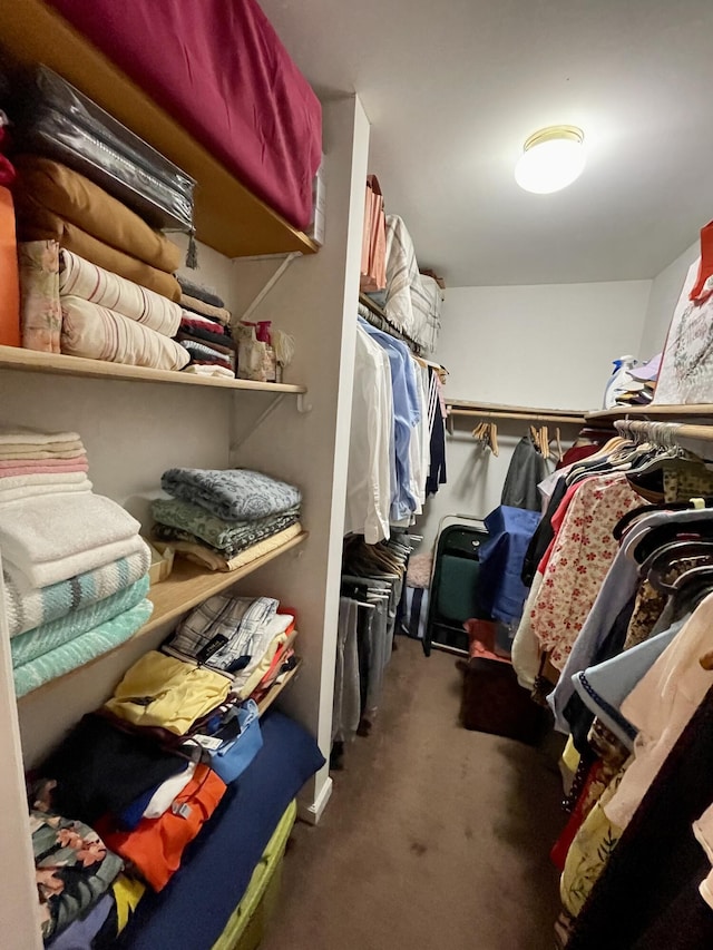 walk in closet featuring carpet floors