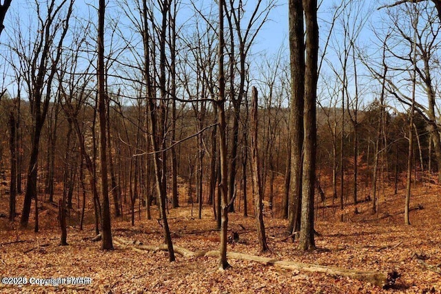 Penn Forest Dr, Albrightsville, PA 18210
