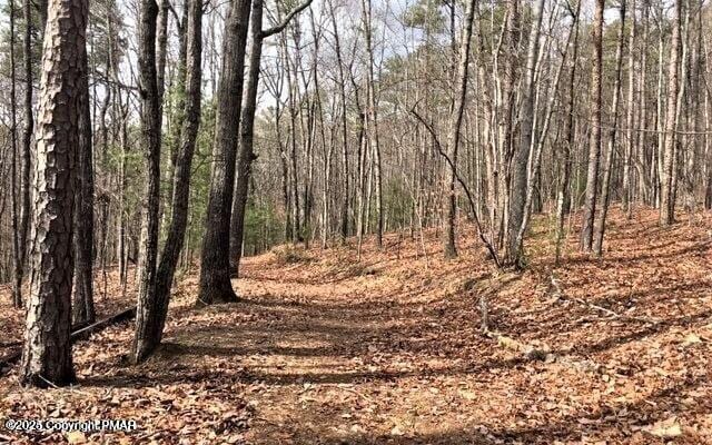 Penn Forest Dr, Albrightsville, PA 18210