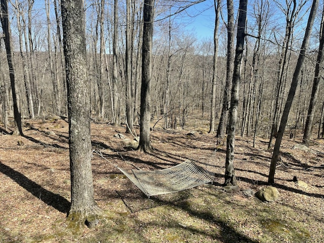 172 Larsen Dr, Clifton Township, PA 18424 - view of landscape
