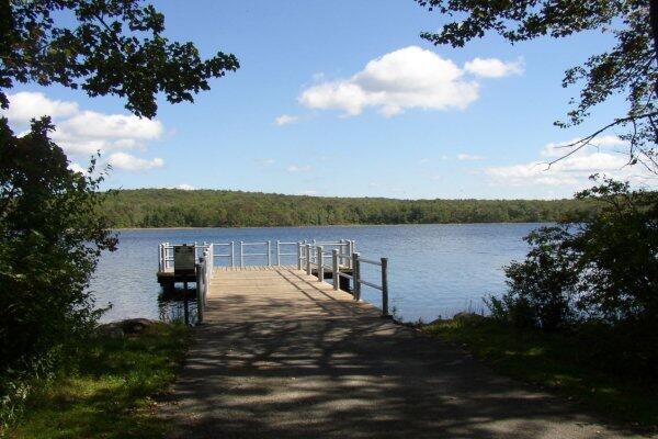 172 Larsen Dr, Clifton Township, PA 18424 - dock area featuring a view of trees and a water view