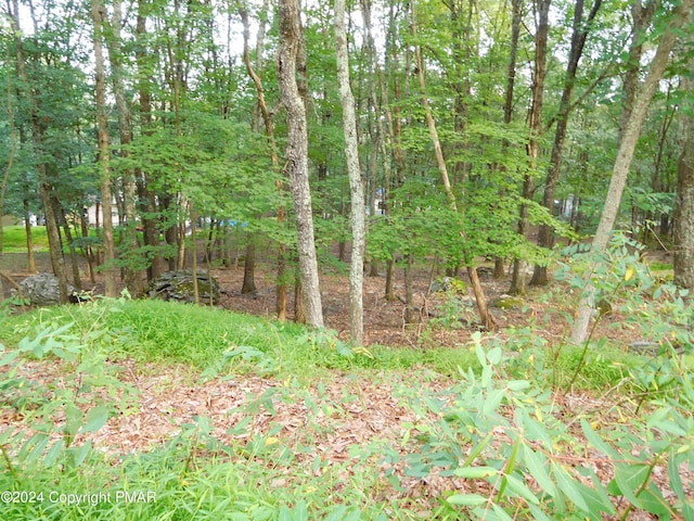 Listing photo 3 for LOT553 Sioux Dr, East Stroudsburg PA 18302