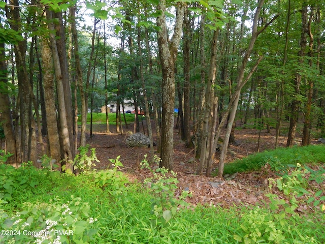 LOT553 Sioux Dr, East Stroudsburg PA, 18302 land for sale