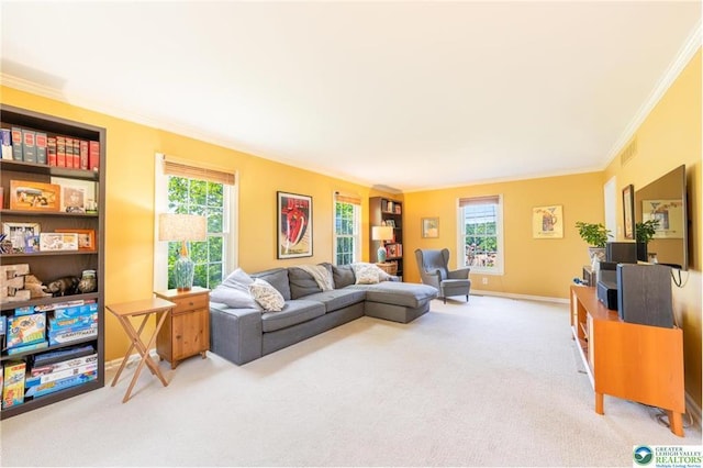 5622 Snowdrift Rd, Orefield, PA 18069 - living area featuring carpet floors, crown molding, and plenty of natural light