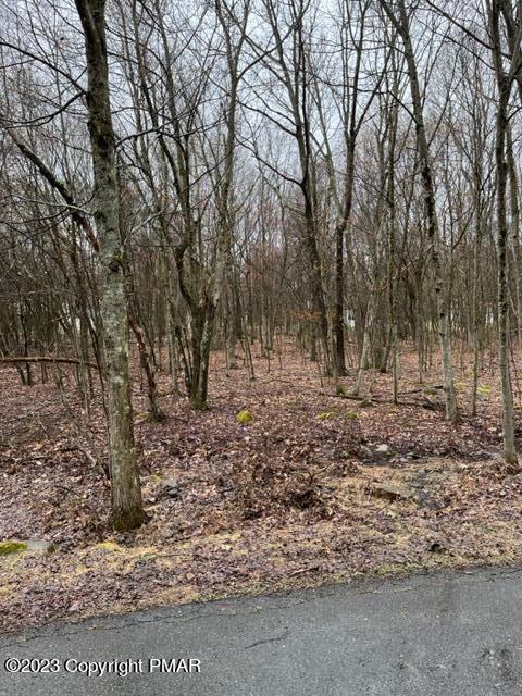 EV1593 Maccauley Rd, Albrightsville PA, 18210 land for sale