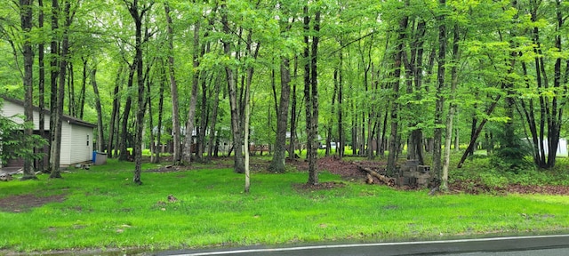 916 Old Stage Rd, Albrightsville, PA 18210 - view of yard