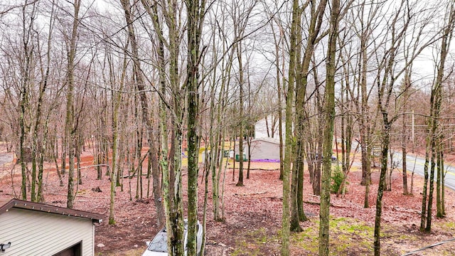 916 Old Stage Rd, Albrightsville, PA 18210 - view of yard