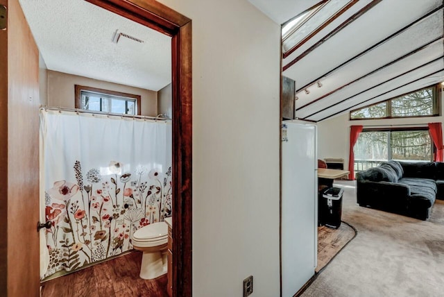 corridor featuring a textured ceiling, lofted ceiling, and wood finished floors