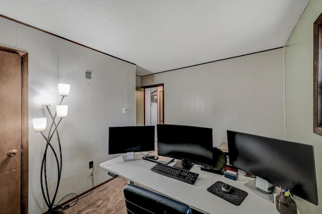 home office with light carpet