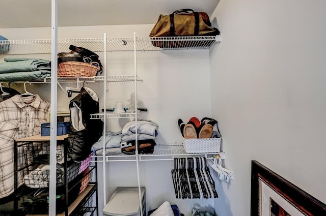 view of spacious closet