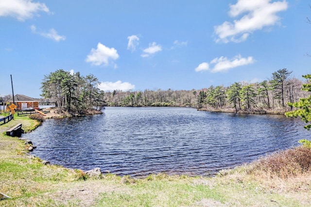 348 Mountain Top Lake Rd, Long Pond, PA 18334 - water view featuring a heavily wooded area