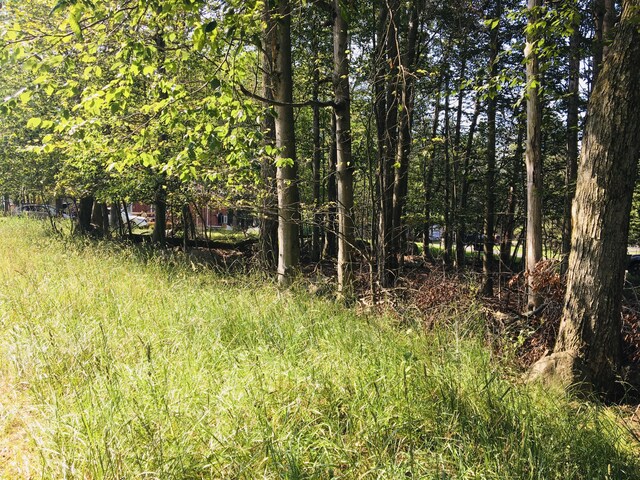 LOTH22 Elizabeth Ln, Tobyhanna, PA 18466 - photo 3