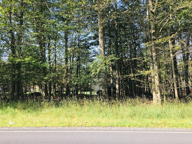 LOTH22 Elizabeth Ln, Tobyhanna, PA 18466 - photo 1