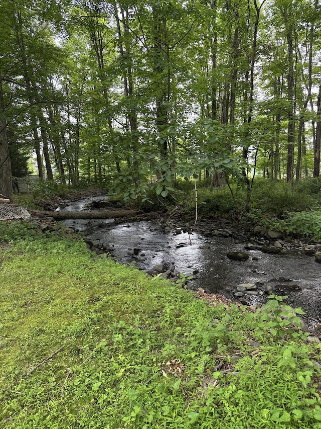 110 Alwen Ave, East Stroudsburg, PA 18301 - view of nature