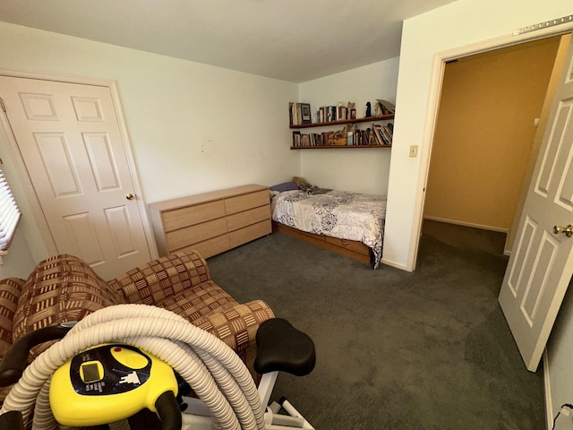 110 Alwen Ave, East Stroudsburg, PA 18301 - view of carpeted bedroom