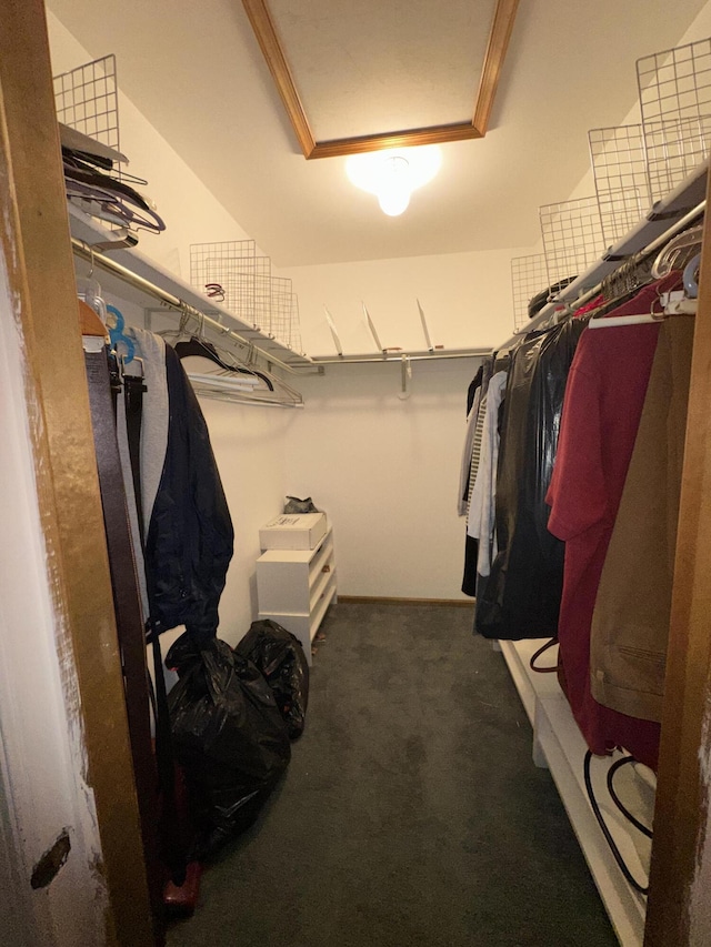 110 Alwen Ave, East Stroudsburg, PA 18301 - spacious closet with attic access and carpet flooring
