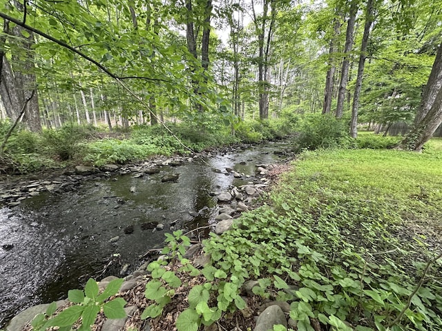 110 Alwen Ave, East Stroudsburg, PA 18301 - view of woods