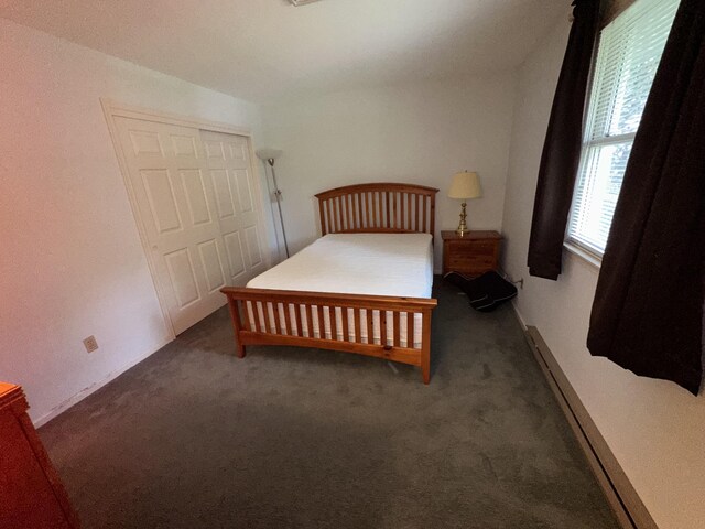 110 Alwen Ave, East Stroudsburg, PA 18301 - carpeted bedroom with a closet